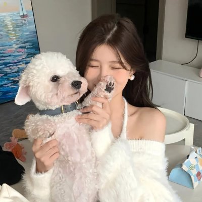 功夫无敌