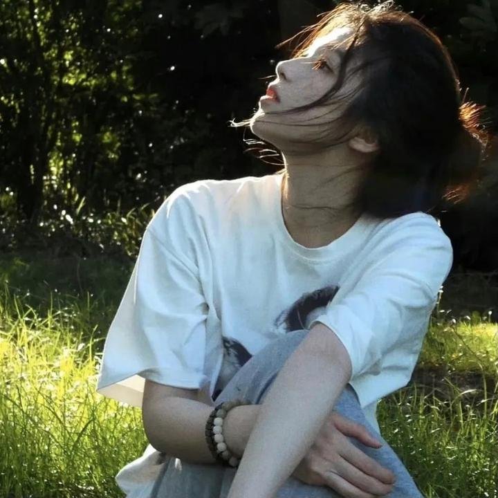 101朵玫瑰